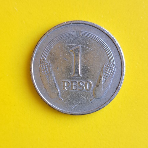 Peso münze aus - 1,
