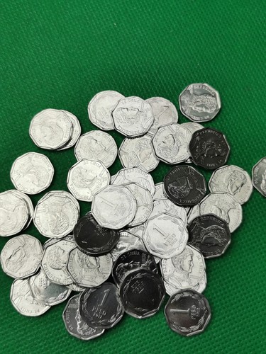 Lot 768 chile - 50, 1